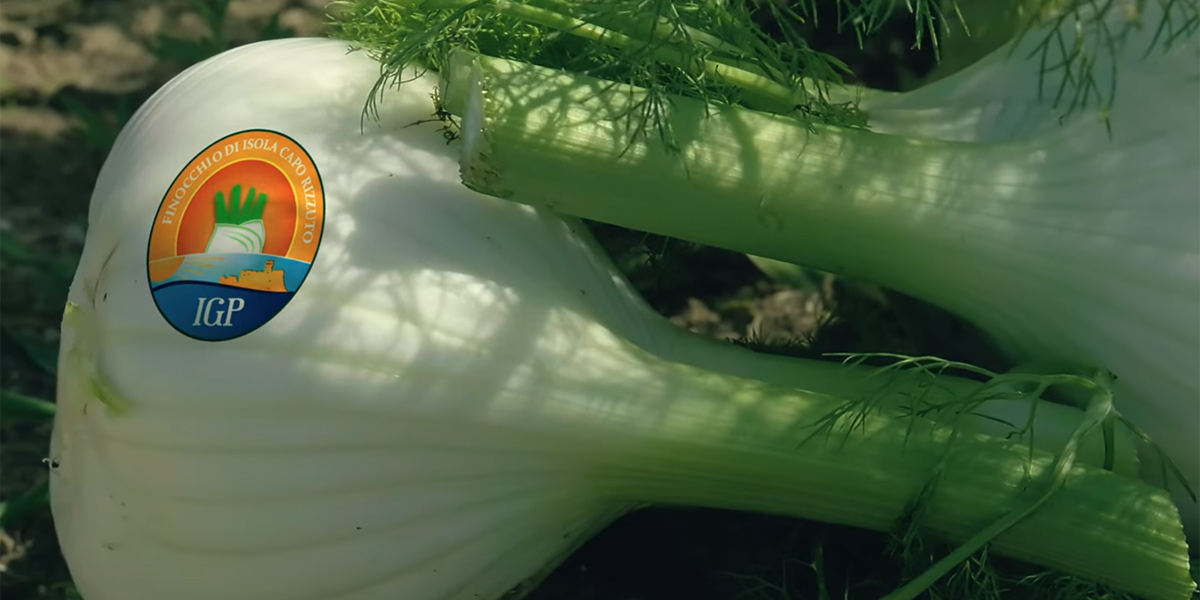 Finocchi, il mercato non accetta più la mediocrità